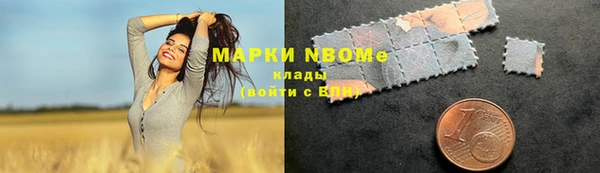 ПСИЛОЦИБИНОВЫЕ ГРИБЫ Белокуриха