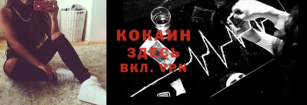 ПСИЛОЦИБИНОВЫЕ ГРИБЫ Белокуриха
