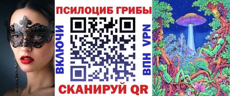 Галлюциногенные грибы мицелий  Сковородино 